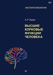 Высшие корковые функции человека