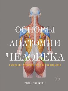 Основы анатомии человека. Наглядное руководство для художников